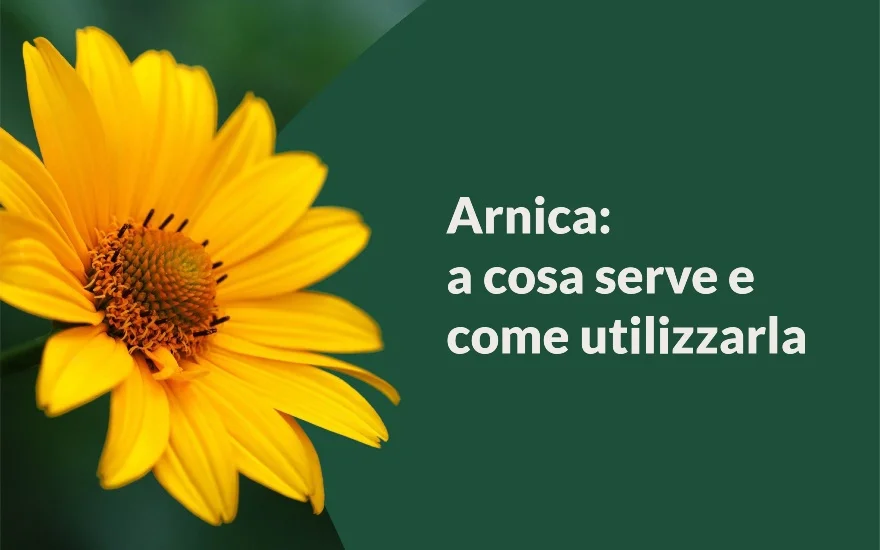 arnica a cosa serve