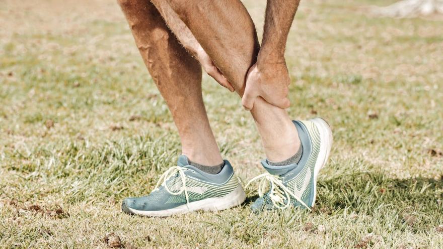 arnica pianta serve per dolori
