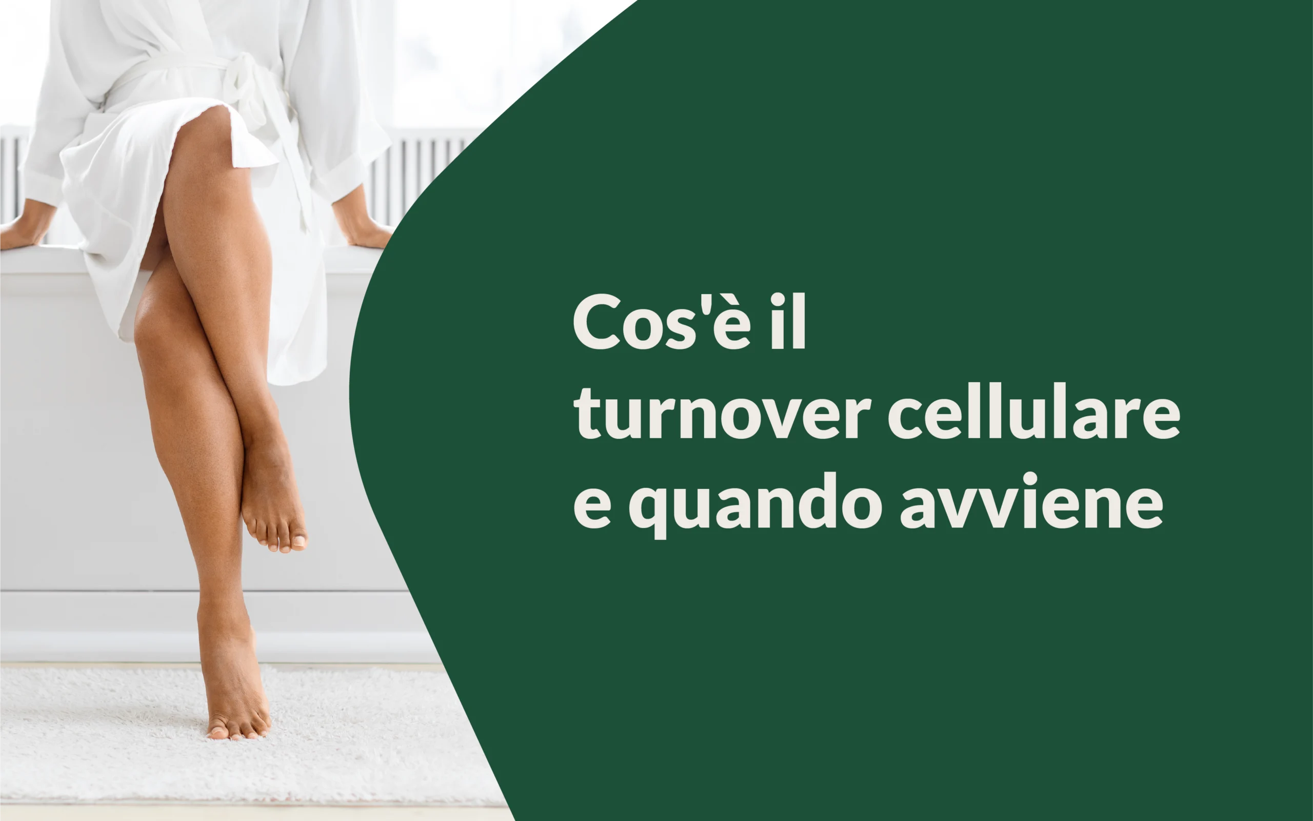 TURNOVER CELLULARE cosa è